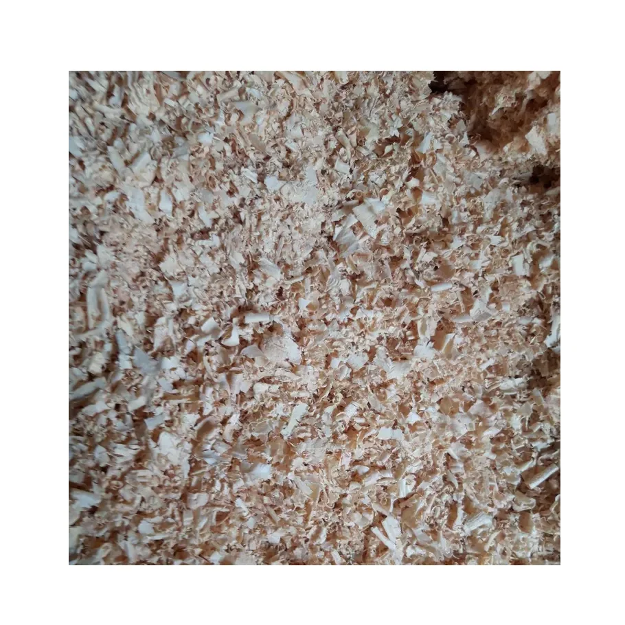 Best Price Acacia Pine Shavings Sawdust Wood Chips for Animal Bedding Dried Wood Pellet in Powder Form