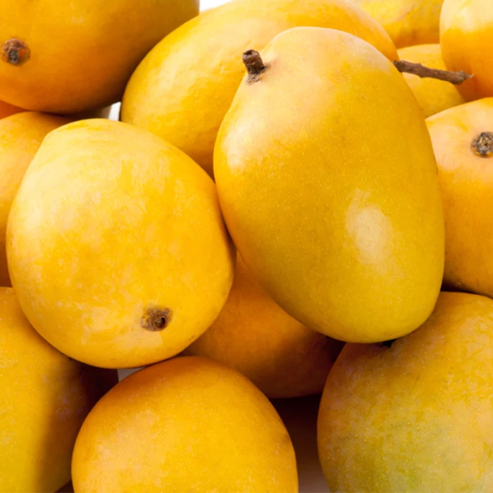 Fresh Mango Fruit Ready To Export Chaunsa Sindhri Mangoes from Pakistan