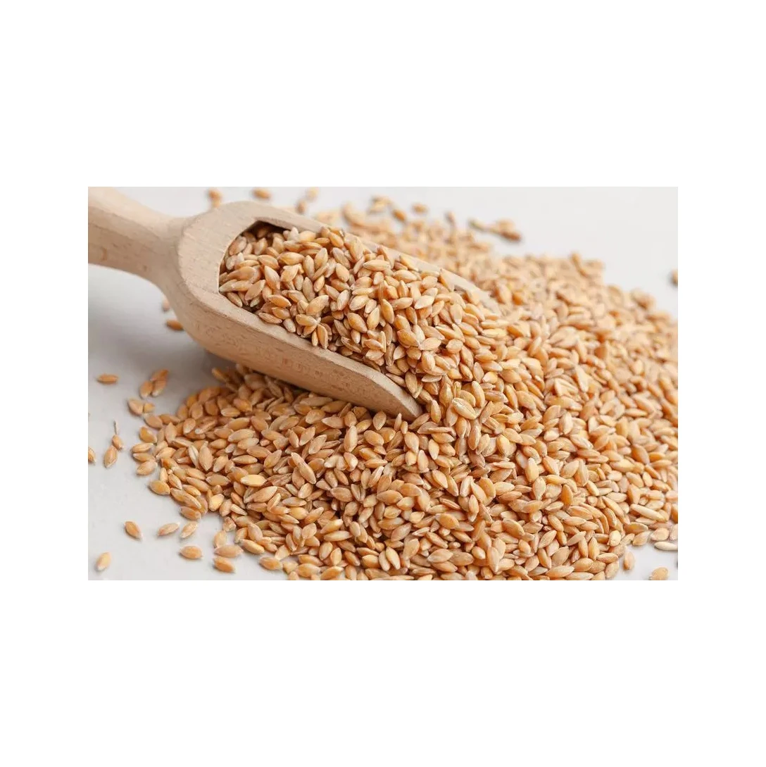 Wholesale Supplier Best Quality Organic Whole Wheat Grain For Sale In Cheap Price