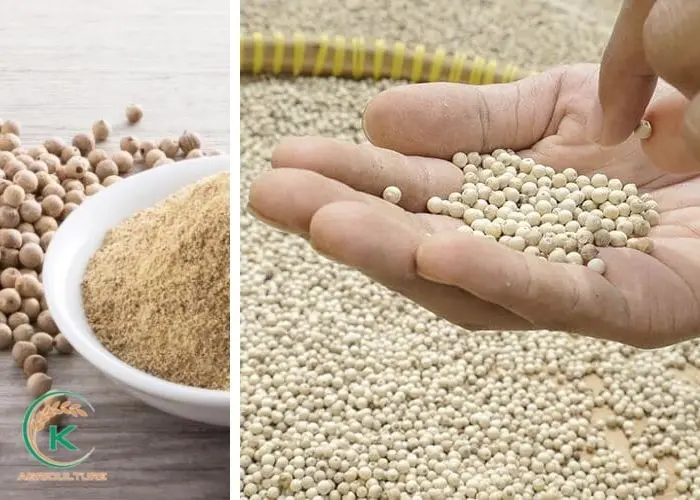 Hot sale white pepper 50kg bags pepper black and white good ingredients white pepper powder