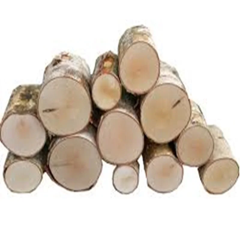 High Quality Pine Eucalyptus Oak and Teak Wood Logs Timber Sawn Wooden Logs Material that Sells like Hot Cakes