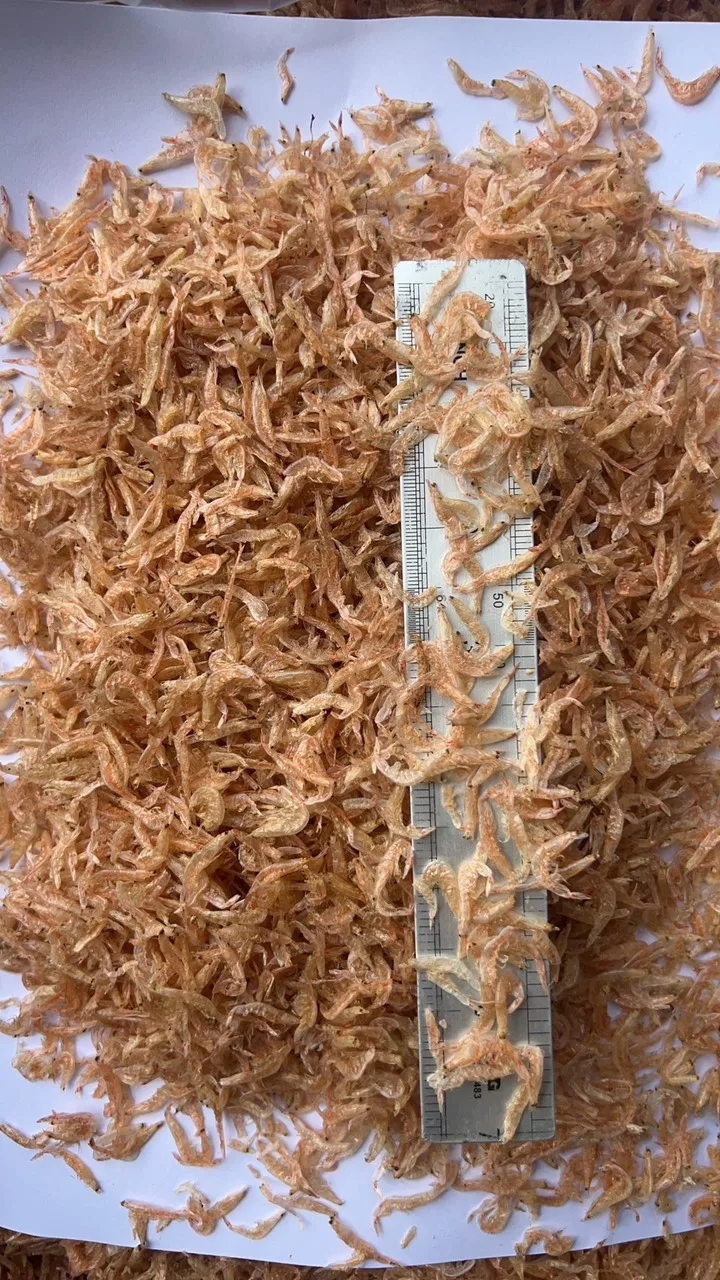 Vietnam Export Products Baby Shrimp Wholesale Package Sun Dry Type Competitive Price Customize or PE Bag Dried Baby Shrimp