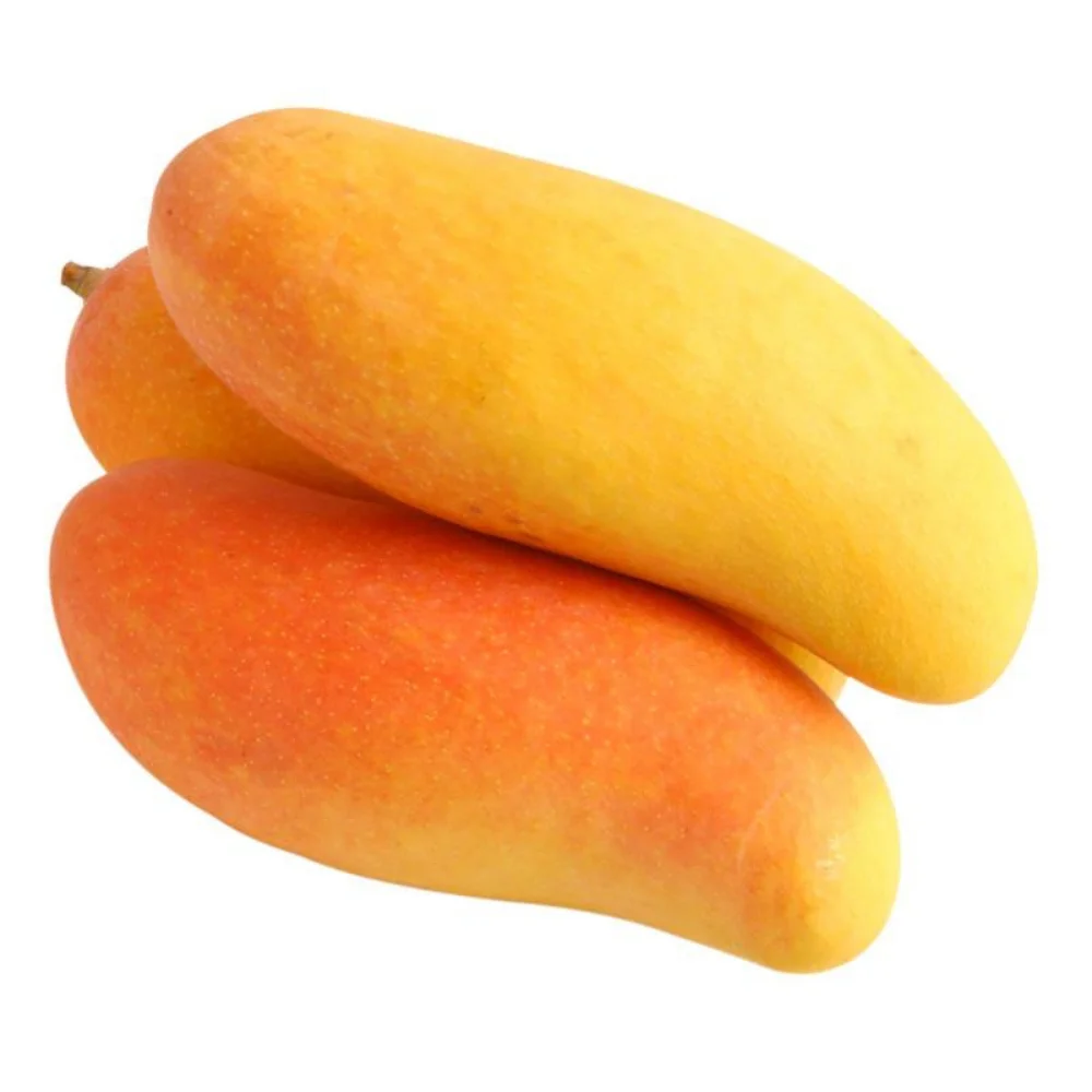 Competitive Price High Quality Imported Grade Fresh Mangos Fruit Box Packing Top Selecting