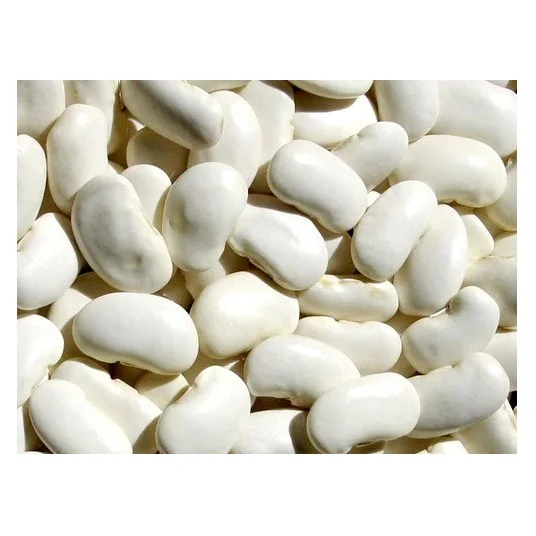 Wholesale Supplier Of Bulk Fresh Stock of Organic Dried White Kidney Beans