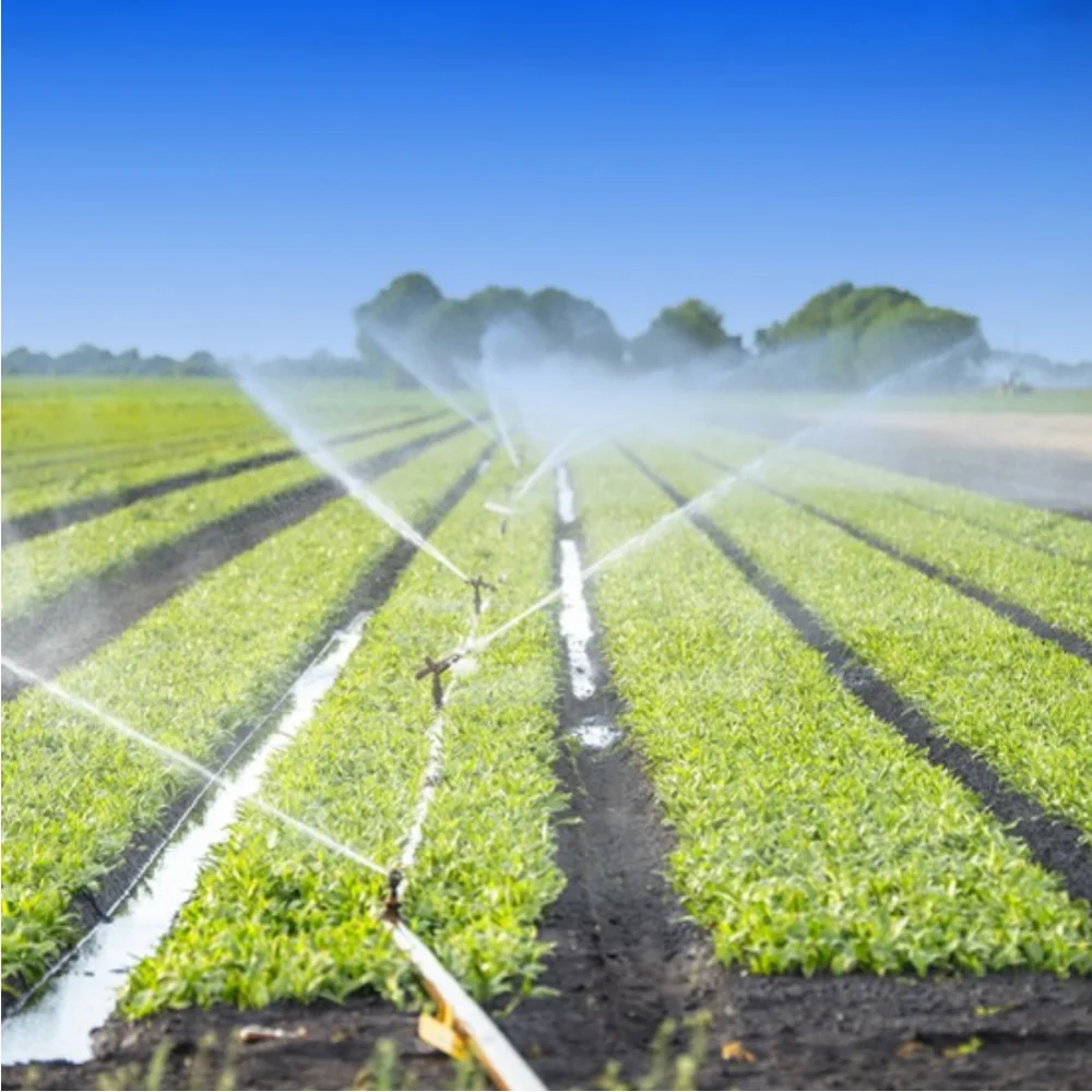 PE SPINKLE IRRIGATION PIPE 6M Product Wholesale Best Price AGRICULTURAL MACHINERY & EQUIPMENT Categories Sprinkler Rotary