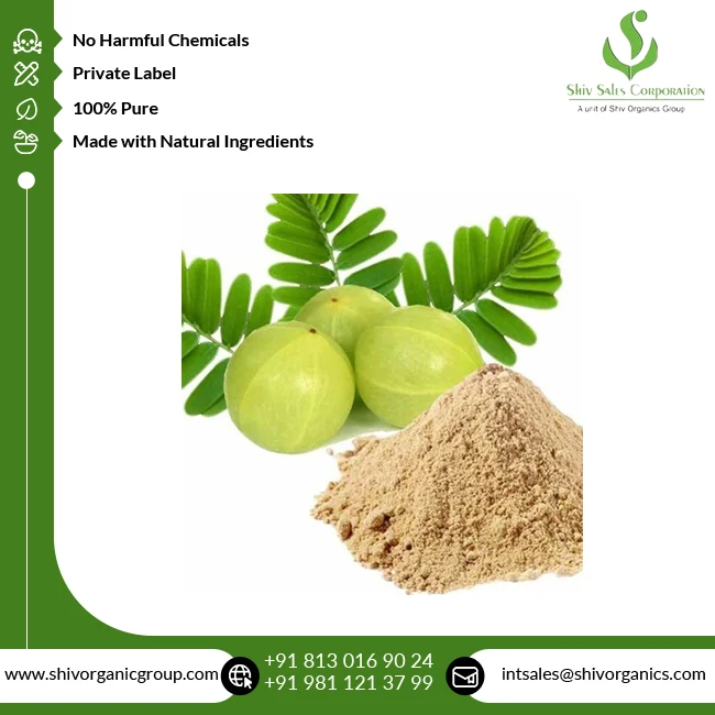 Fresh Quality Cosmetic Grade Wholesale Pure and Natural Amla Extract Powder from Indian Supplier at Bulk Price