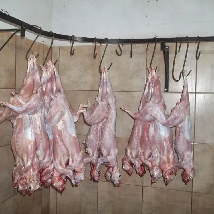 Свежее замороженное мясо кролика без кожи