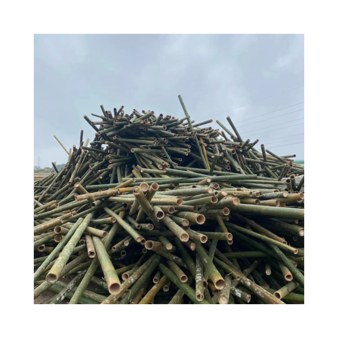 HIGH QUALITY SOLID BAMBOO VIETNAM FACTORY CUSTOM LENGTH AND SIZE BAMBOO STRAIGHT CANE TOP SALE IN 2024