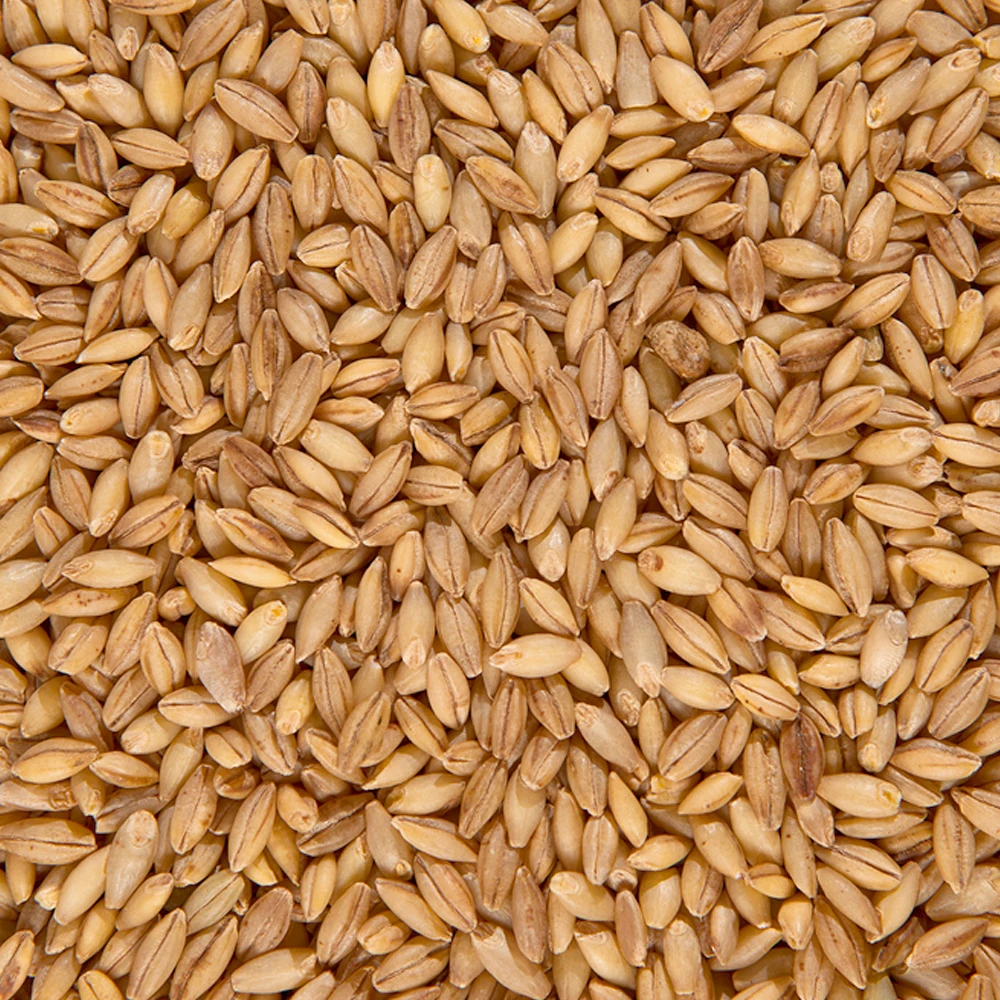 Органические Ячменные