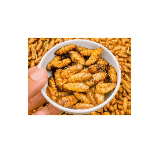 Bulk supply of silkworm pupae meal for sale, ensuring optimal nutrition for livestock feed