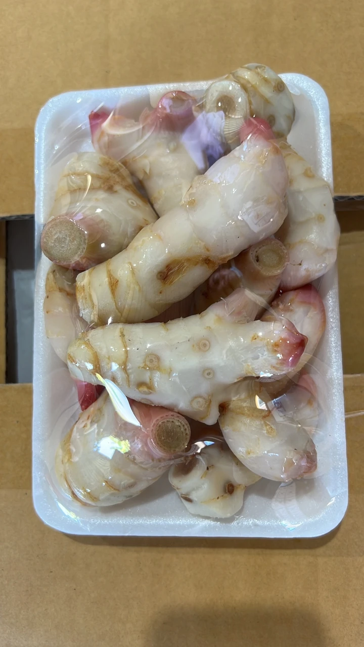 Fresh Galangal From Thailand hight quality Export Grade