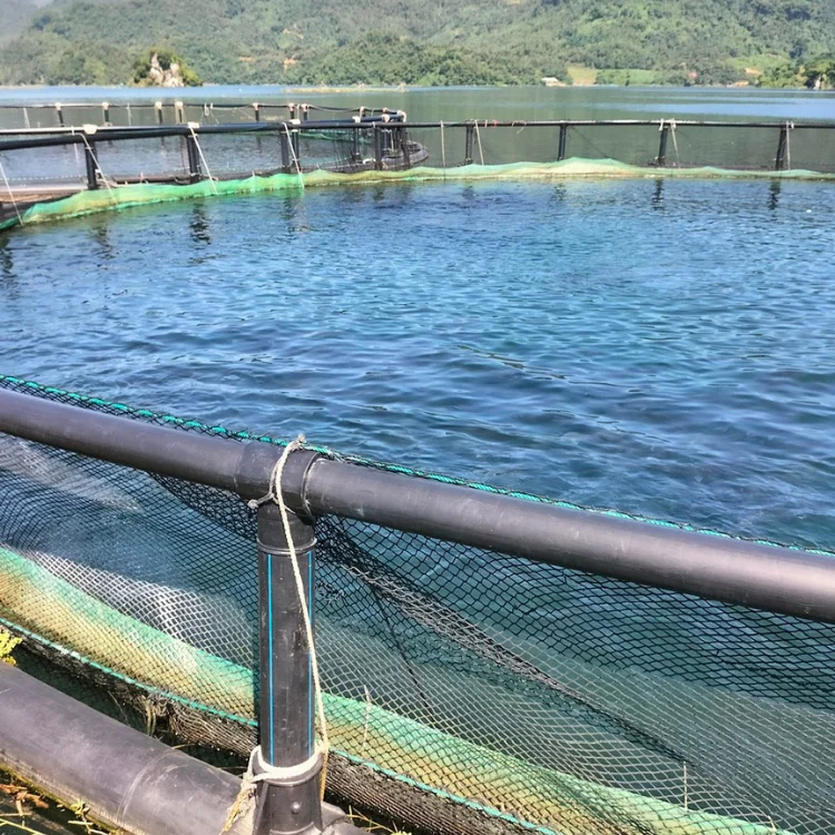 Fish Cage Aquaculture Farming Hdpe Fish Farming Cage Floating For Pisciculture Agricultural Equipment Fish Farm made in Viet Nam