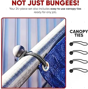 Ball Bungees/ Tarp Loop Canopy Tie ball bungee cords CHINA