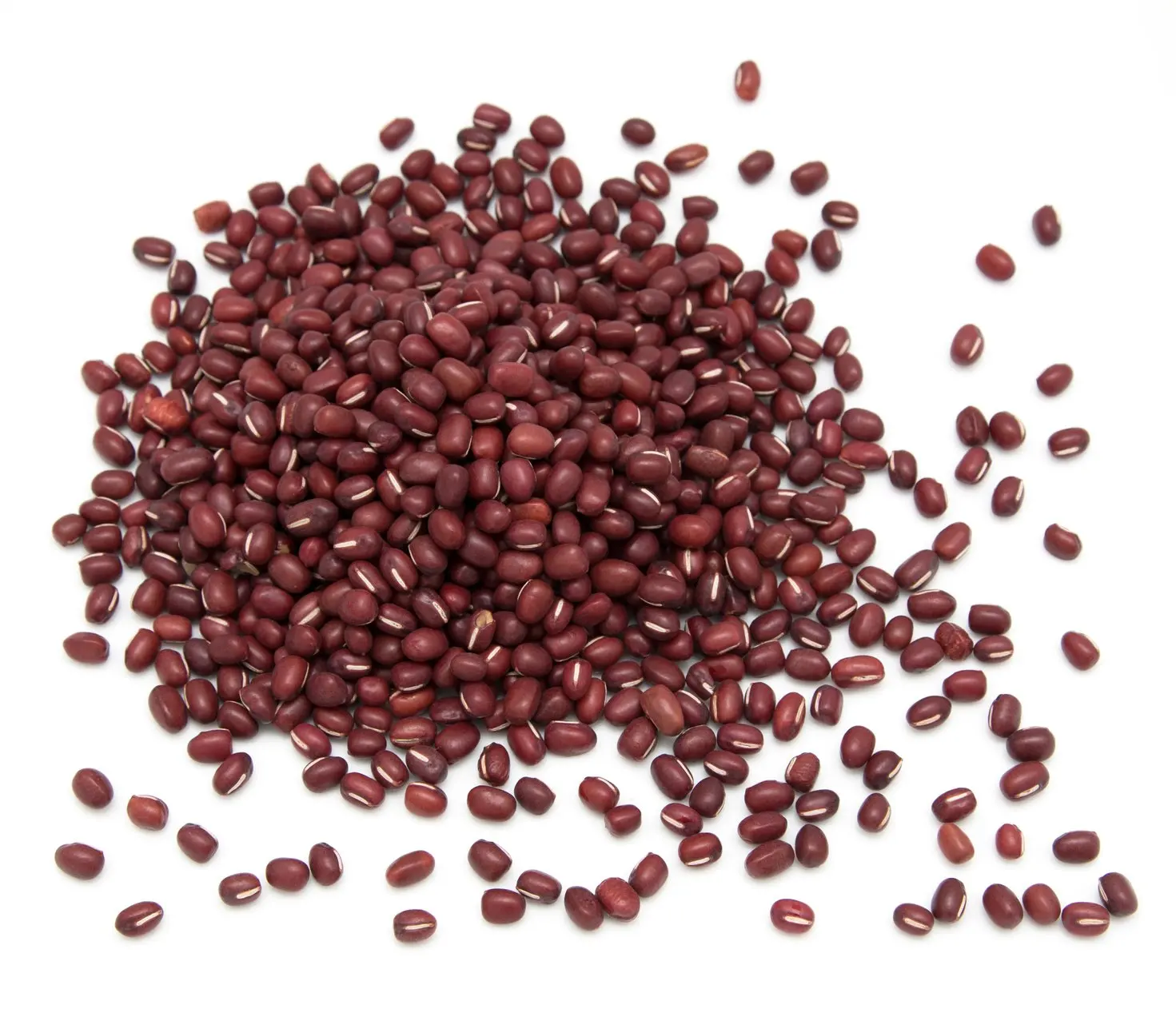 Buy Bulk Adzuki Beans, Organic