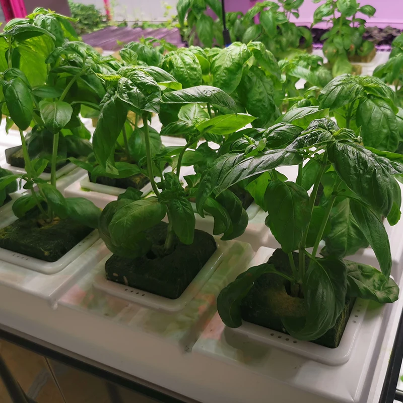 Indoor Aeroponics Systems Vertical Grow Tower Nft Channel Microgreen Growing System Hydroponics System Kit