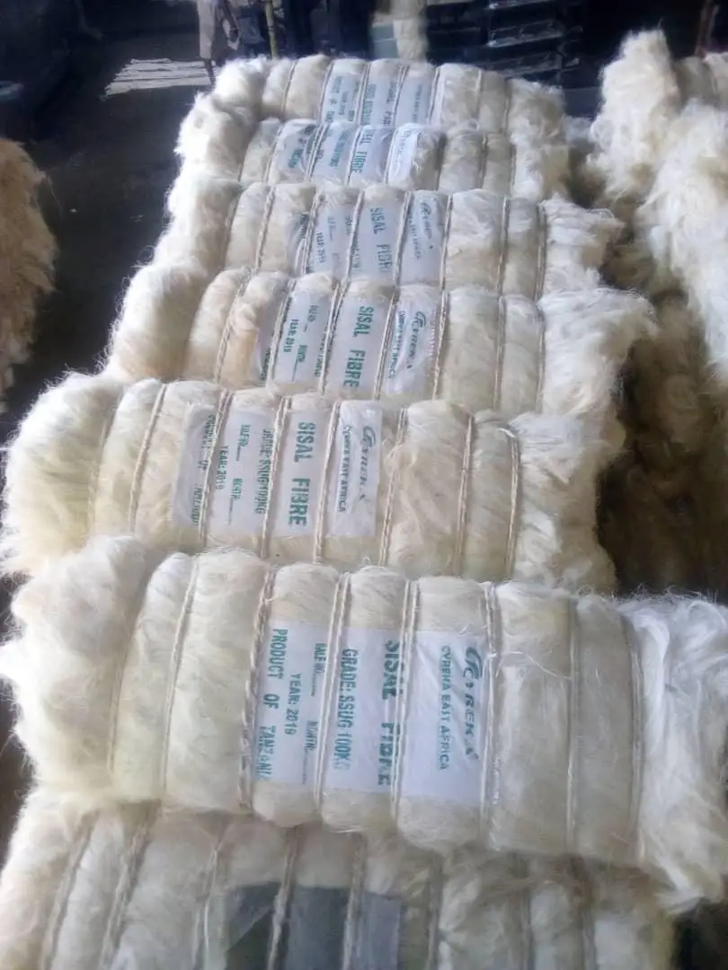 Wholesale of Sisal Fiber Packed in Bales of 100 kgs, 200 kgs and 250 Kgs with Custom Packing Available at Cheap Price
