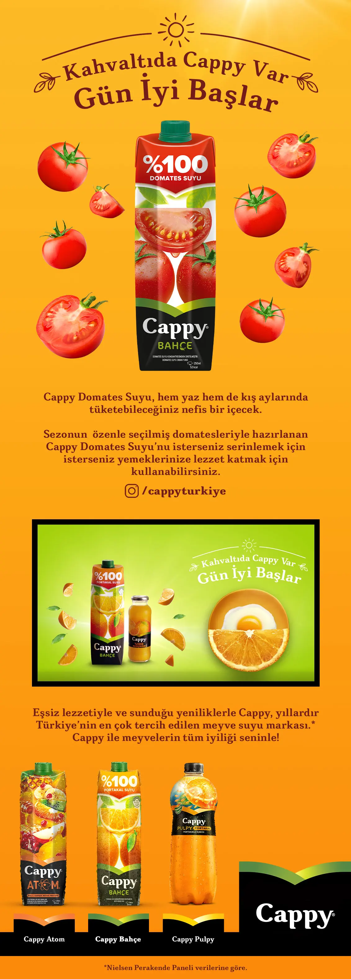 Hot Sale And Best Price ! 100% Tomatoes Juice Carton box1L x 12 Fresh Date and Quality Service From Turkey