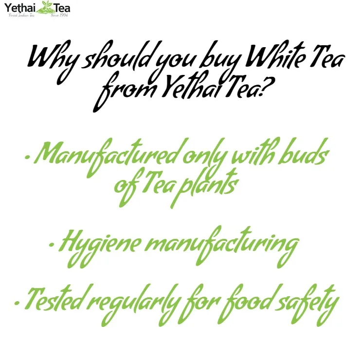 New Wholesale Supply Top Quality Premium Grade 100% Natural Beverage White Tea Silver Needle Loose Leaf Tea for Men & Women