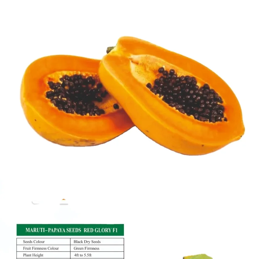 10% Discounted price for Papaya red Lady F1 Red Glory F1 Hybrid Varieties for Papaya for Online Sale export Import from India