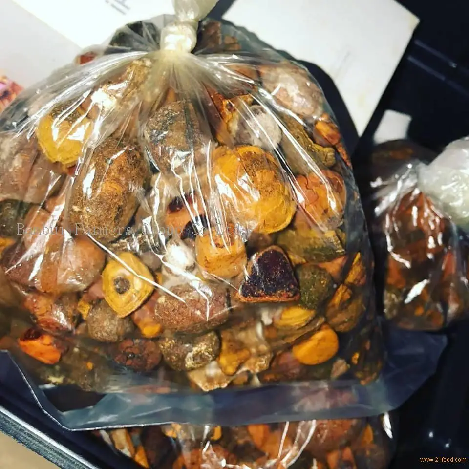 Buy Original Yellow Gallstones Powder Cattle Buffalo Cow Ox Whole Broken Gallstone Cheap Price Bulk Supplier Horse Source