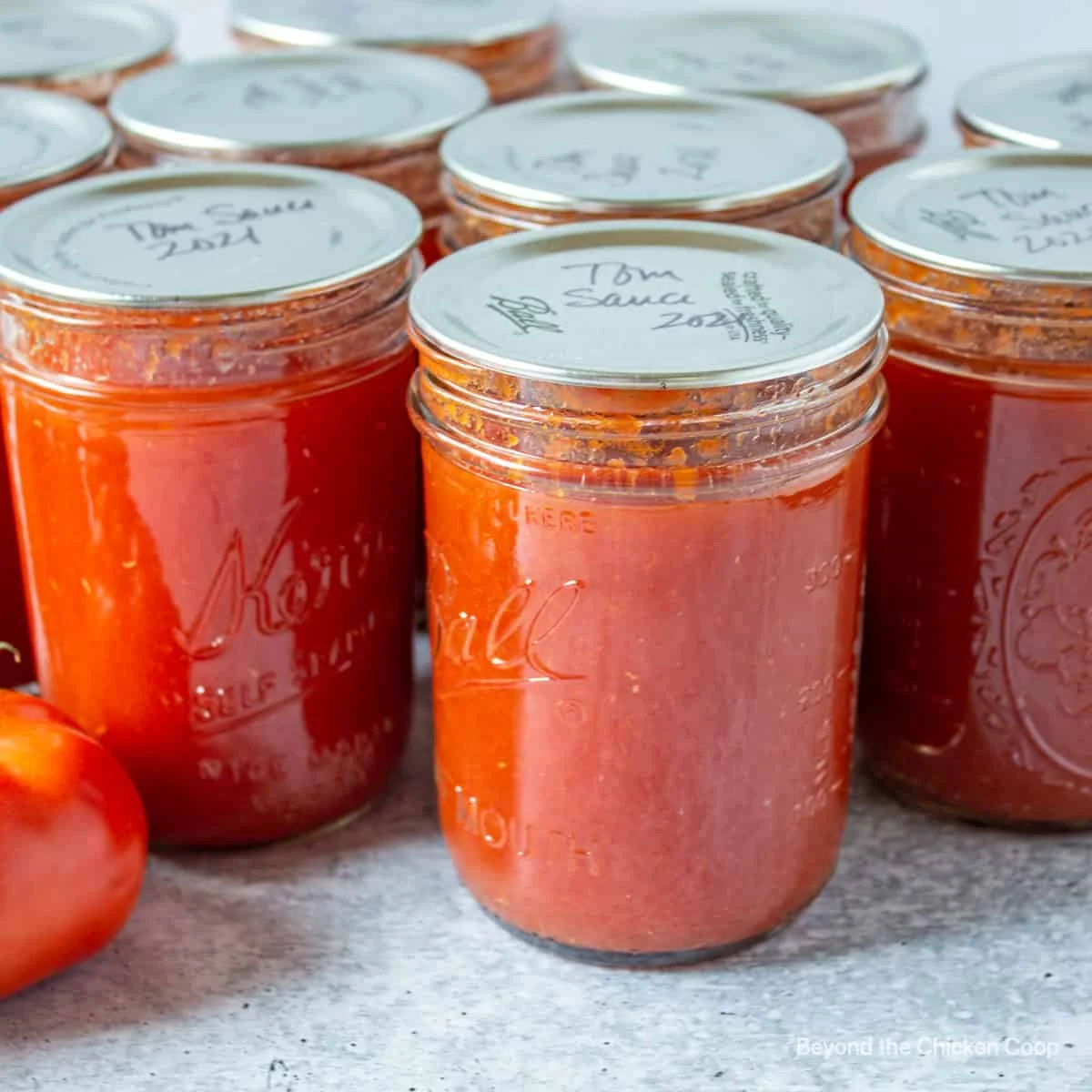 Canned-Tomato-Sauce.jpg