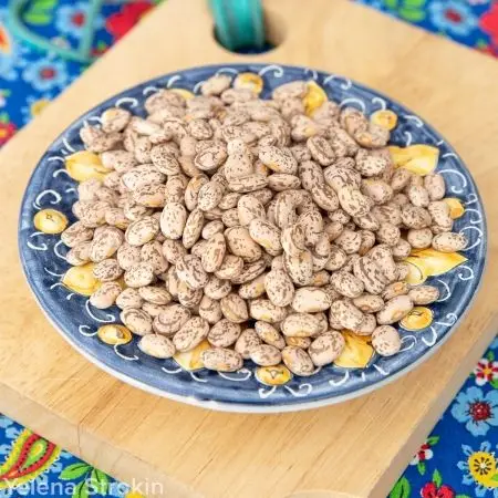 Beans in Tomato Sauce Red KOSHER Style Packaging Shelf Water Type Life Shape Year Bean Product ISO Salt HACCP Kidney Ingredients