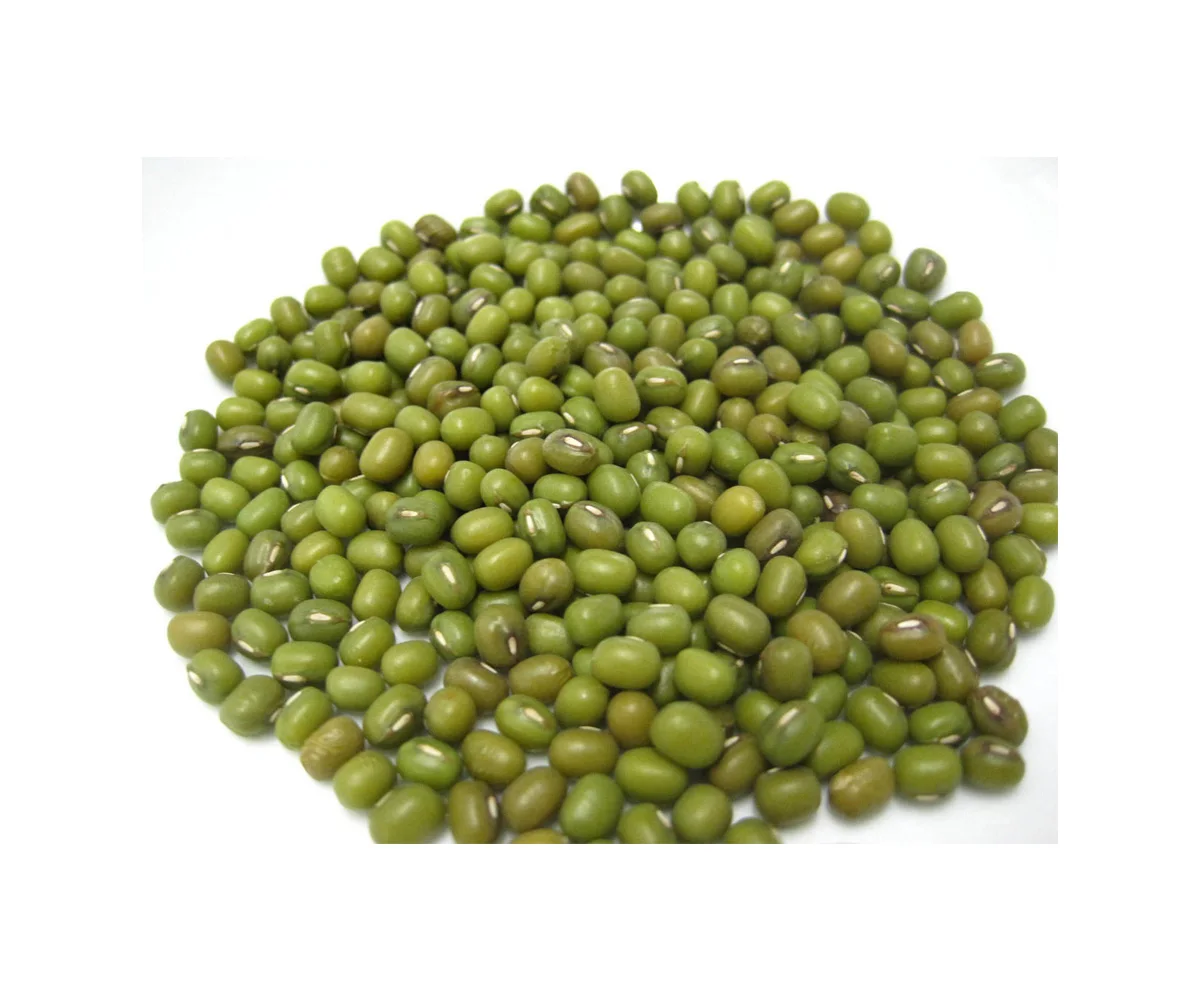 Quality Assurance New Corp Natural Green Moong Dal Wholesale Price Indian Moong Dal Bean