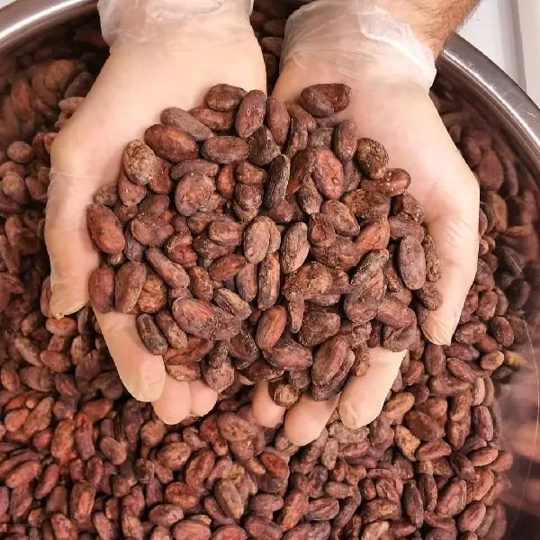 Raw Cocoa Beans, Cocoa Beans Suppliers,.;.;.