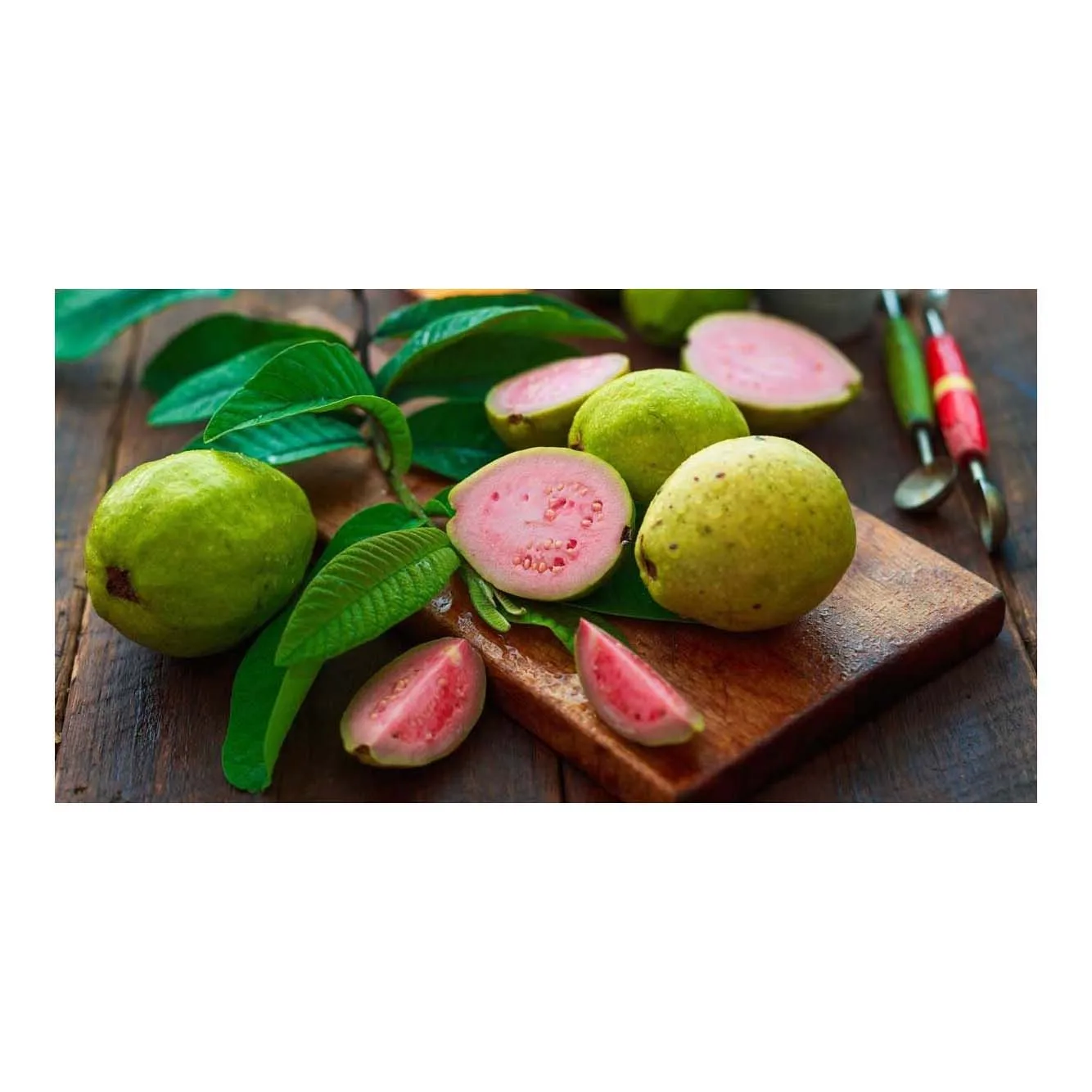 Высококачественные вкусные свежие фрукты гуава для оптовой покупки-свежие тропические гуавы из Вьетнама | Teresa
