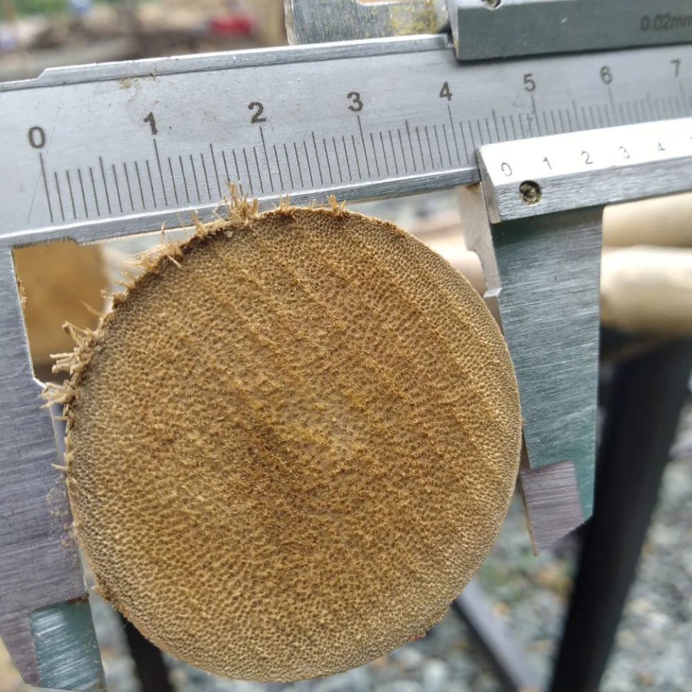 Dry Bamboo Poles Big Size Solid Moso Bamboo For Decor And Construction Bamboo Cane Packed In Bundles with Top Service