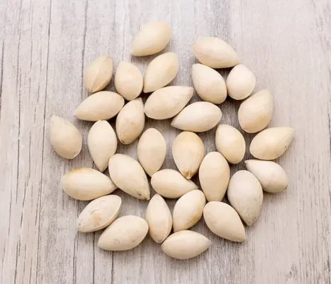 Quality Ginkgo Nuts For Sale