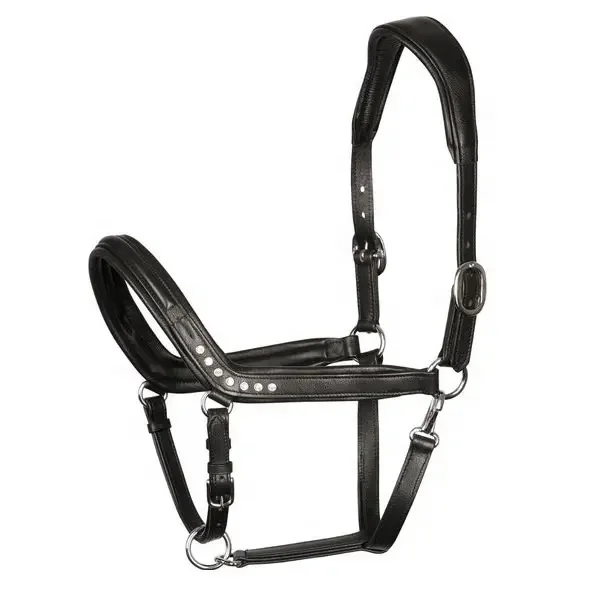 HORSE LEATHER ANATOMICAL HEADCOLLAR HALTER SOFTY PADDED EQUESTRIAN STABLE EQUIPMENT MULTI DESIGNS CUSTOM MANUFACTURER