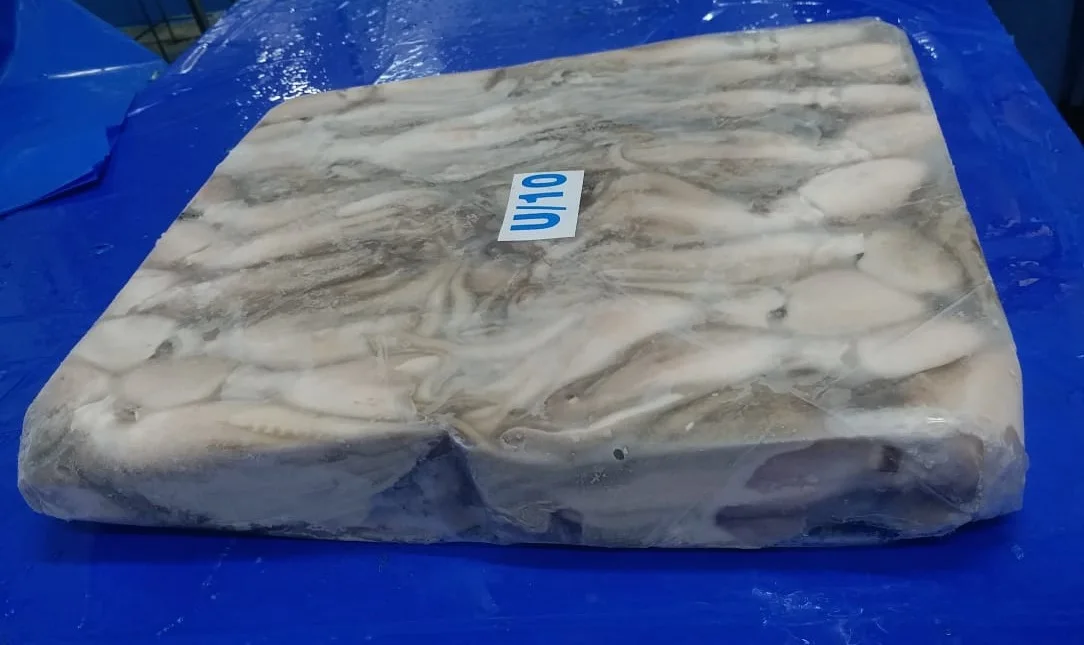 Indian Factory High Quality Good Price Frozen Whole  and  Cleaned  Octopus  Wholesale