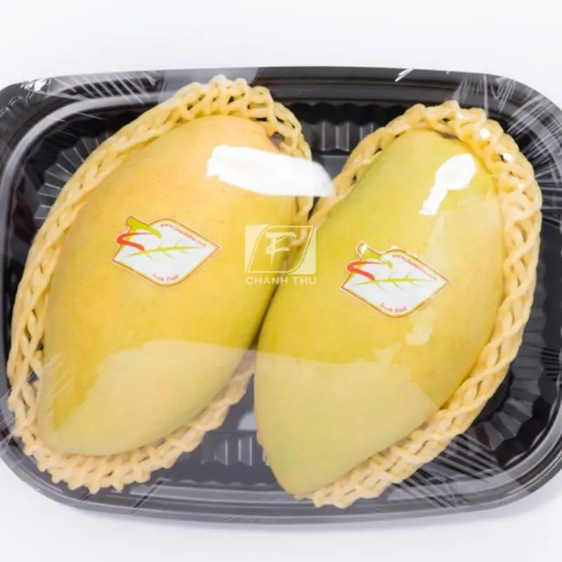 Mango Export Cat Chu  Packing High Quality Carton Type Sweet Taste Mango Export From Vietnam