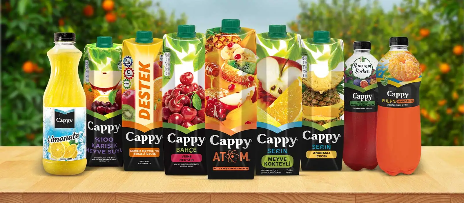 Hot Sale And Best Price ! Pulpy Peach Juice Pet 1L x 12 All The Time Fresh Date and Quality Service From Turkey