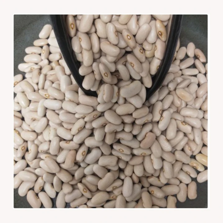 Highest Quality Natural Wholesale Top Grade White Kidney Beans For Exporting High Quality Large Big White Kidney Beans