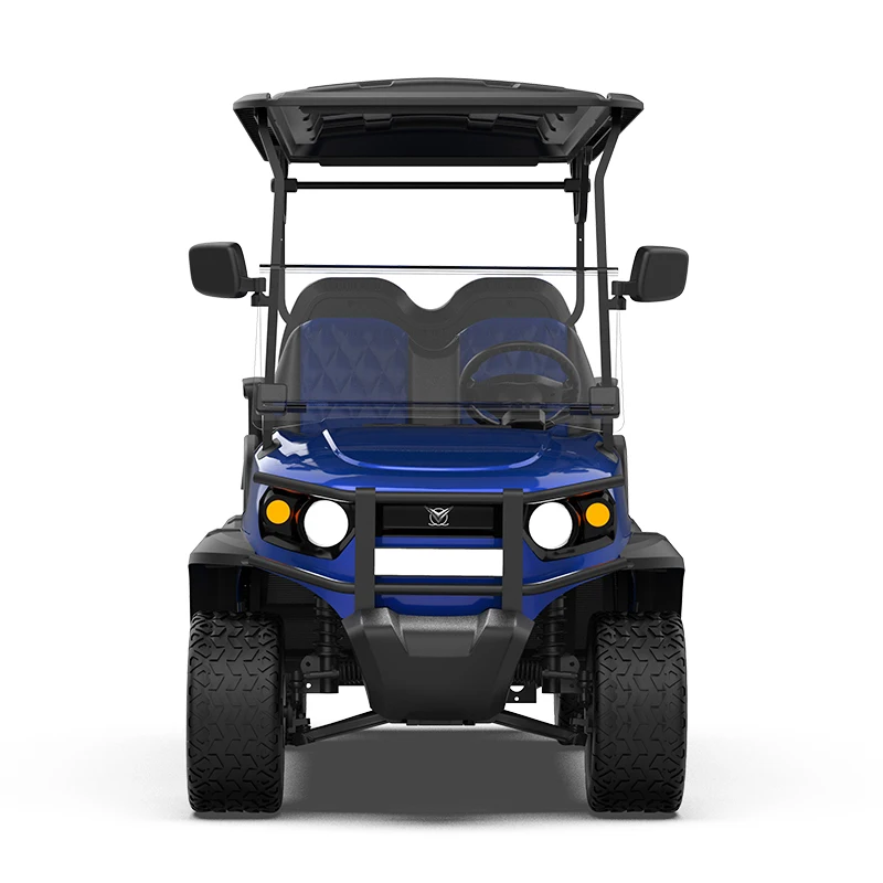 48V/72V New Design with Curtis Controller Electric Golf Cart 5kw ODM Service for Exclusive Brand Agent