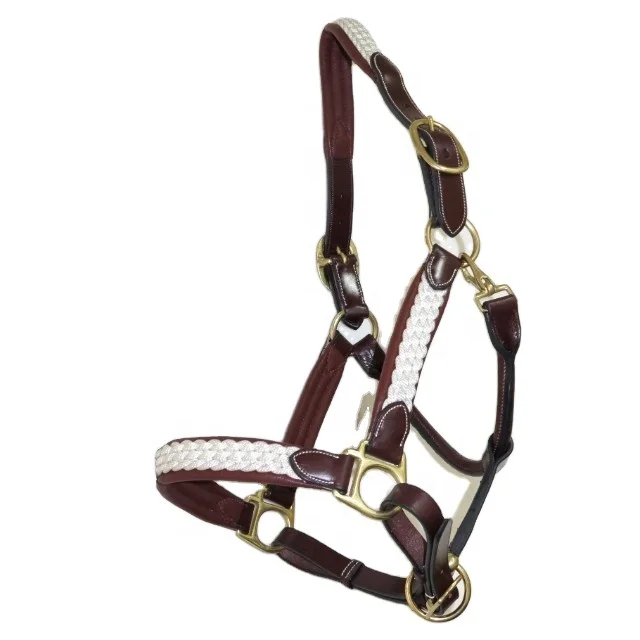 Designer Horse Riding Durable Leather Halter
