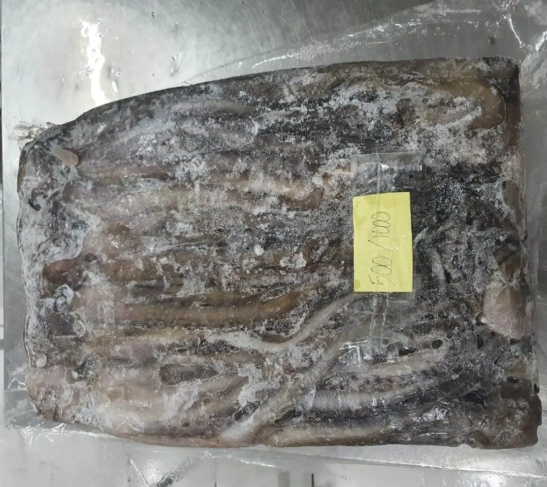 Замороженный длинный осьминог, цельный круглый, хорошего качества, индонезийского происхождения