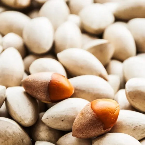 Оптовая продажа, идеальное качество, 100% натуральные оригинальные сырые и Сушеные Орехи гинкго