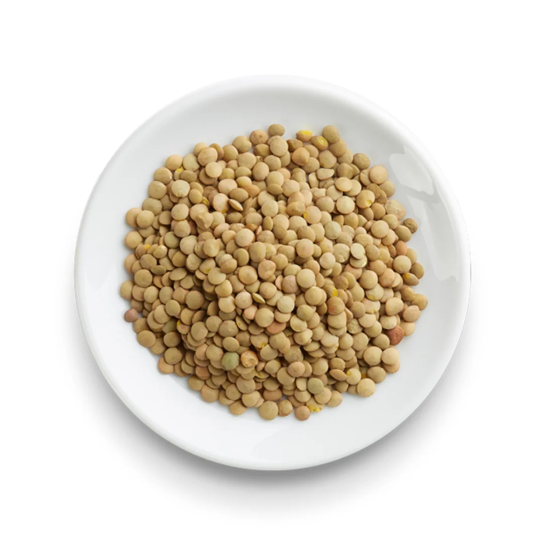 HIGH QUALITY MADE IN ITALY LENTILS