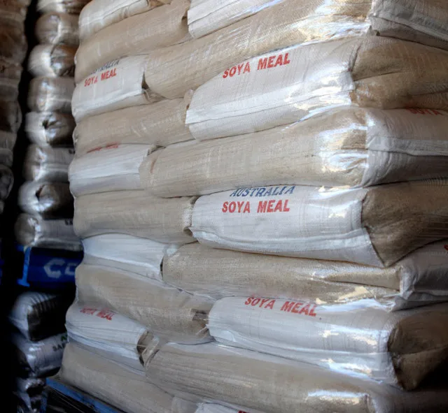 Animal feed soybean meal  protein soybean meal