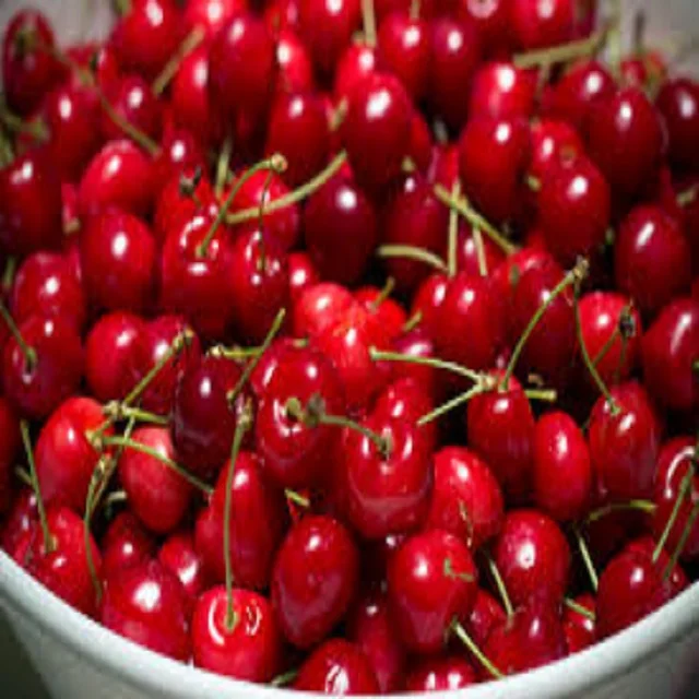 High Quality Natural Taste Red Farm Fresh Cherries for Sale
