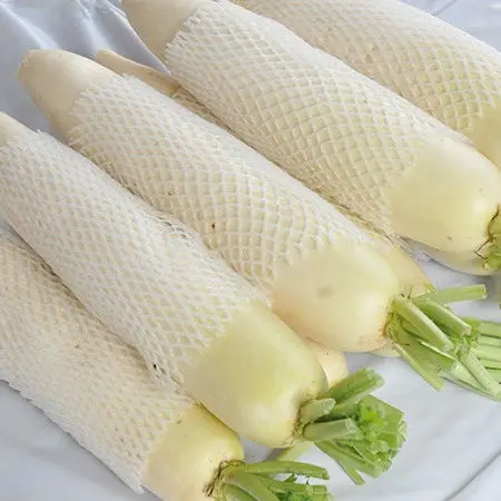 Chinese Export Fresh White Radish wholesale delicious fresh radish factory direct
