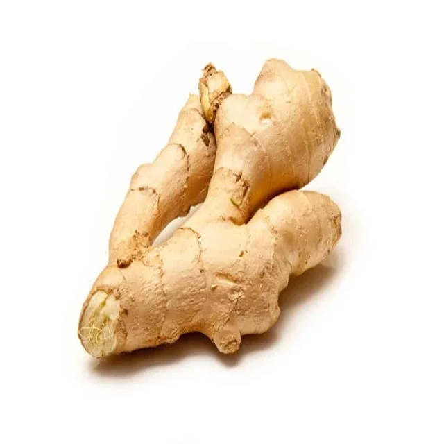 Ginger fresh ginger export high quality new crop in carton for wholesale fresh ginger