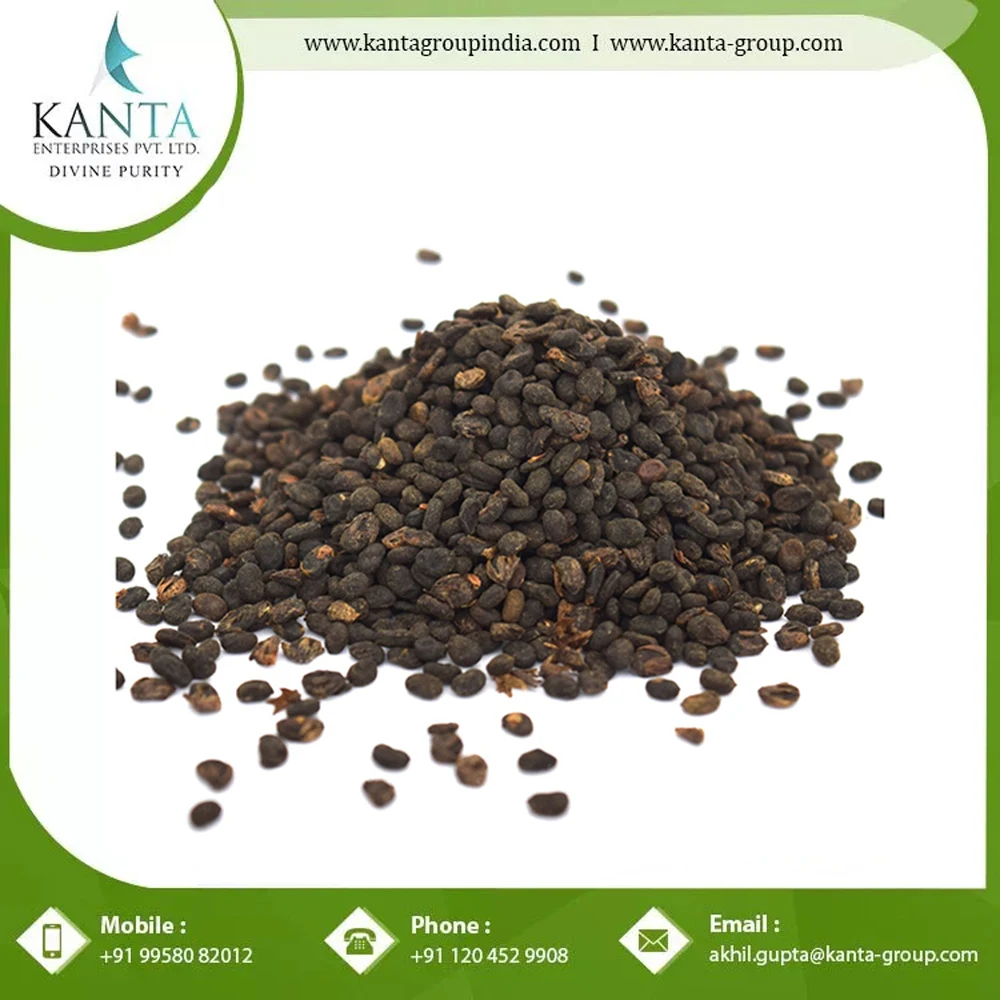 Cosmetic Ingredient Raw Material Cold Pressed 100% Pure and Natural Psoralea Corylifolia Oil At Bulk Wholesale Price