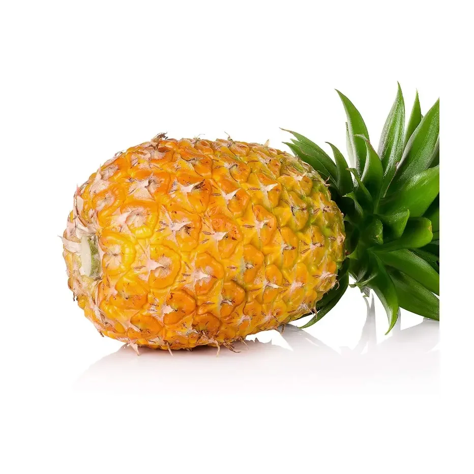 Cheap Pineapple for sales and export