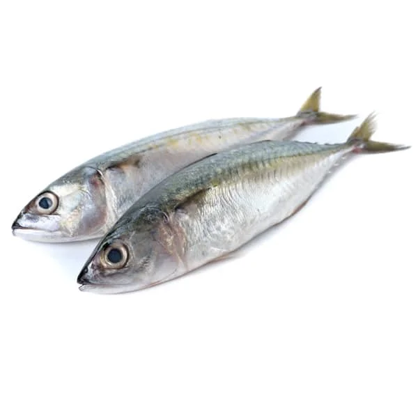 Frozen Horse Mackerel High Quality Whole Round Frozen Seafood IQF Frozen Horse Mackerel Export