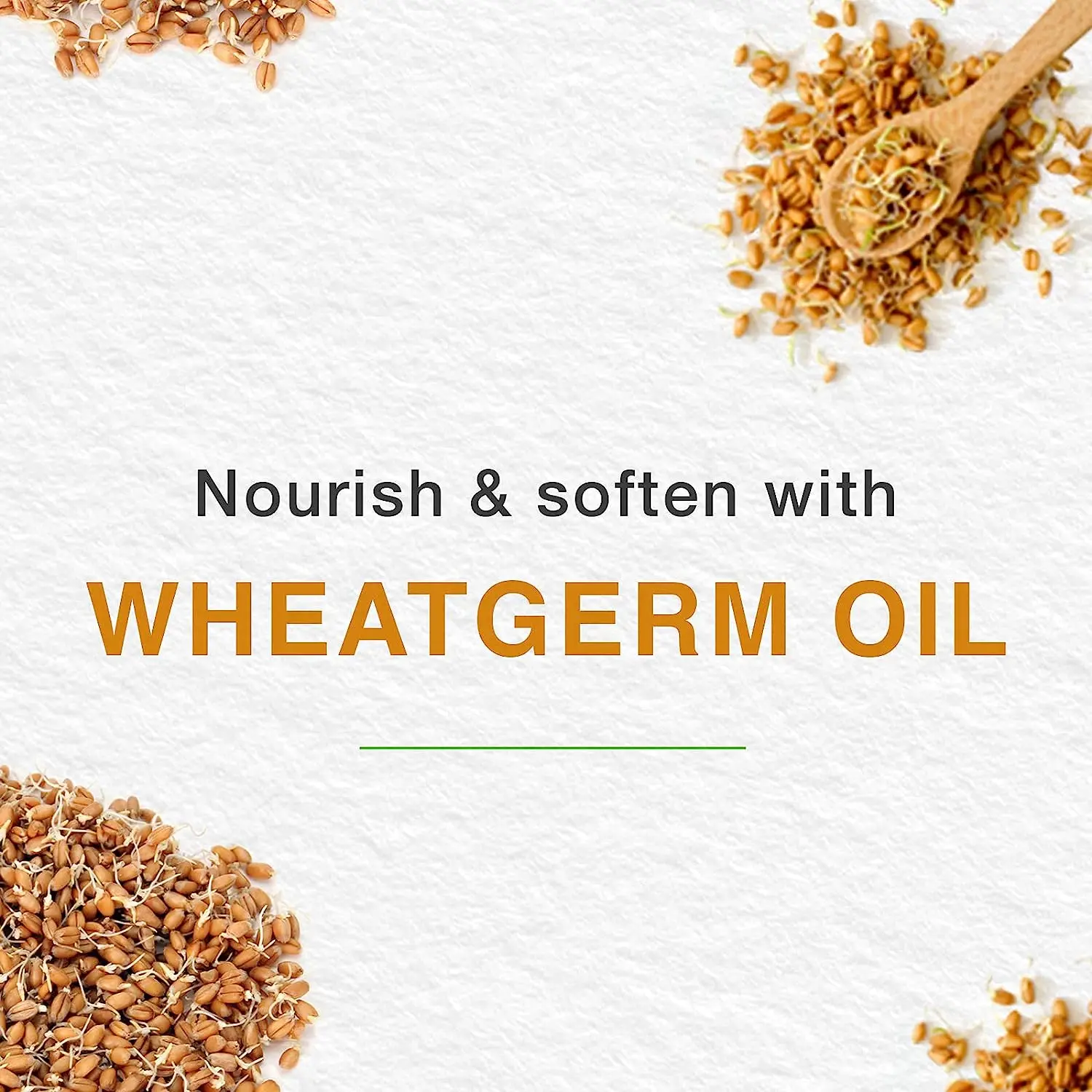 Himalaya Herbal Lip Balm for Soft Lips Hydrates and Nourishes Dry Chapped Lips Protects from Sun and Wind