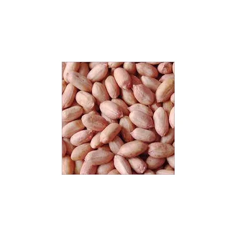 Groundnut Kernels with Customized Size Packing For Sale By Indian Exporters Lowest Prices
